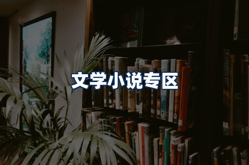 文学小说PDF展示